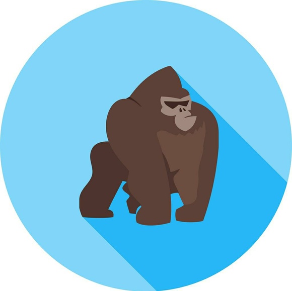 testinghq